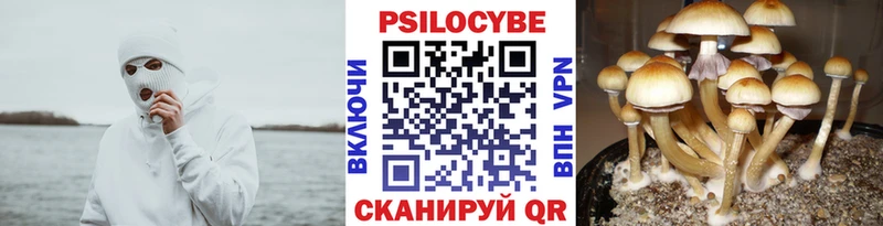 Галлюциногенные грибы Cubensis  это как зайти  Усть-Илимск 